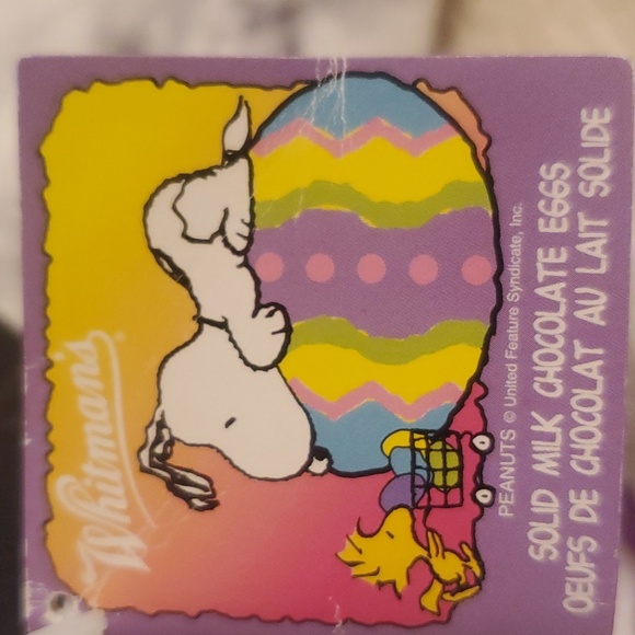 🐶 Peanuts Snoopy Dog  Easter Bunny Ears Plush - Picture 5 of 5